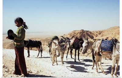 A Young Girl With Her Caravan of Donkeys