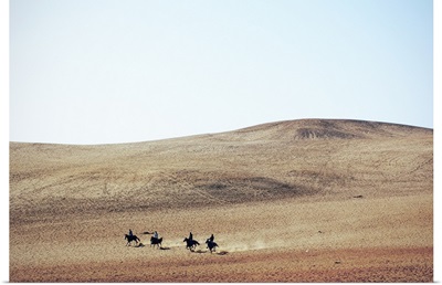 Men On Horses Cross the Desert, Giza, Egypt
