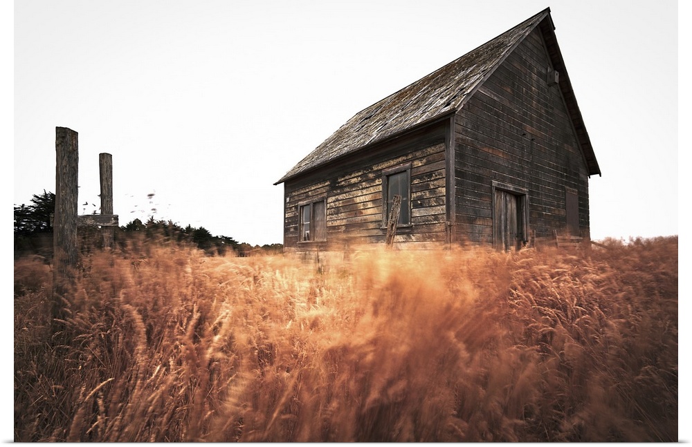 Old Barn and Field, Sonoma, California