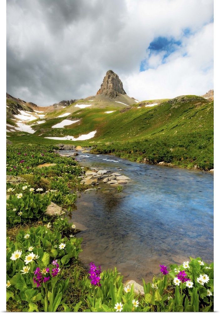 Spring runoff and wildflowers in Colorado's San Juan Mountains, Rocky Mountains