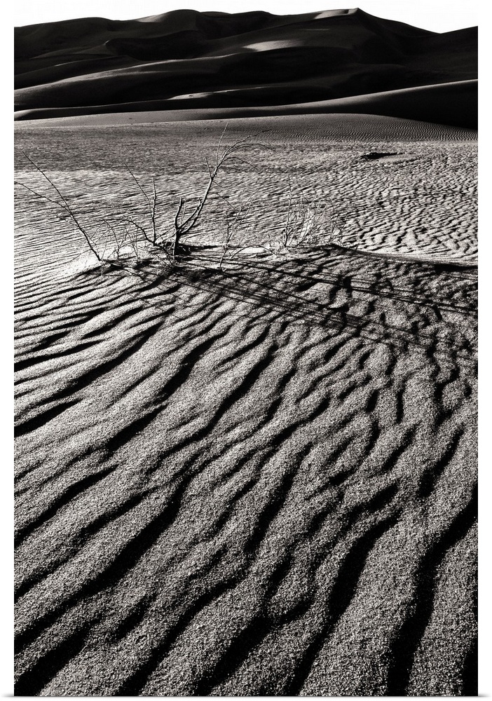 Windswept Sand, Great Sand Dunes National Park and Preserve, Colorado