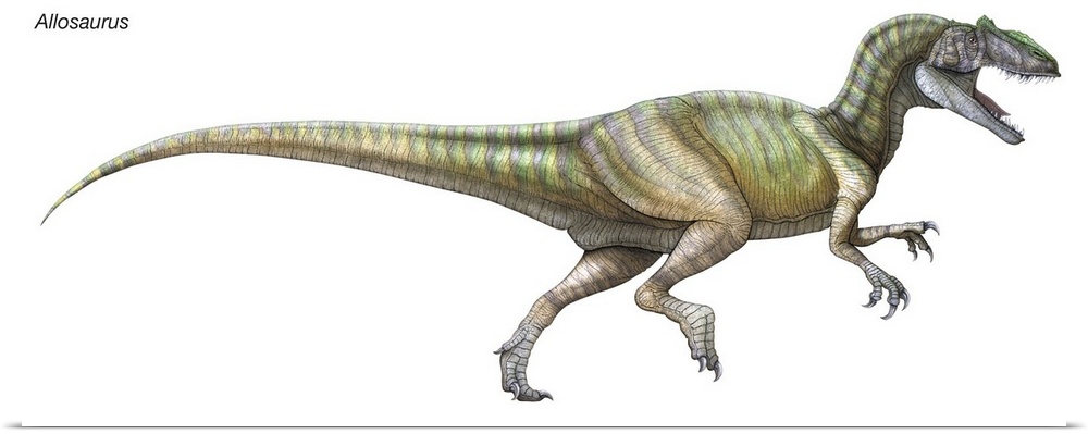 An illustration from Encyclopaedia Britannica of the dinosaur Allosaurus.
