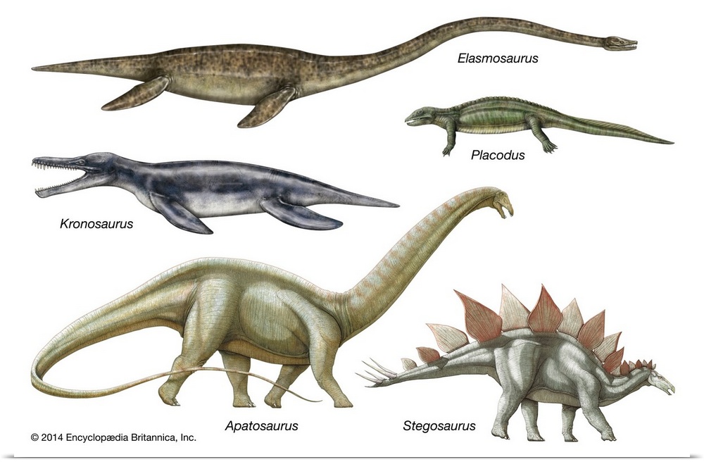 An educational poster from Encyclopaedia Britannica featuring the different body types of extinct dinosaurs and ichthyosaurs.