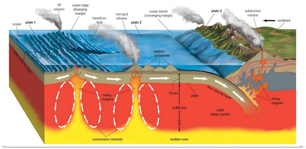 Cross Section Of Plate Boundaries Formed By Ocean Ridges (Rift Zones), Strike-Slip (Transform) Faults, And Subduction Zones