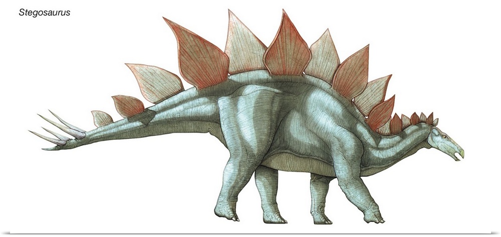 An illustration from Encyclopaedia Britannica of the dinosaur Stegosaurus.