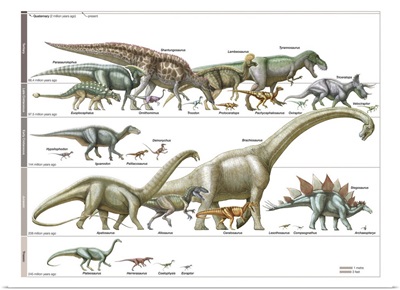 Timeline of Dinosaurs