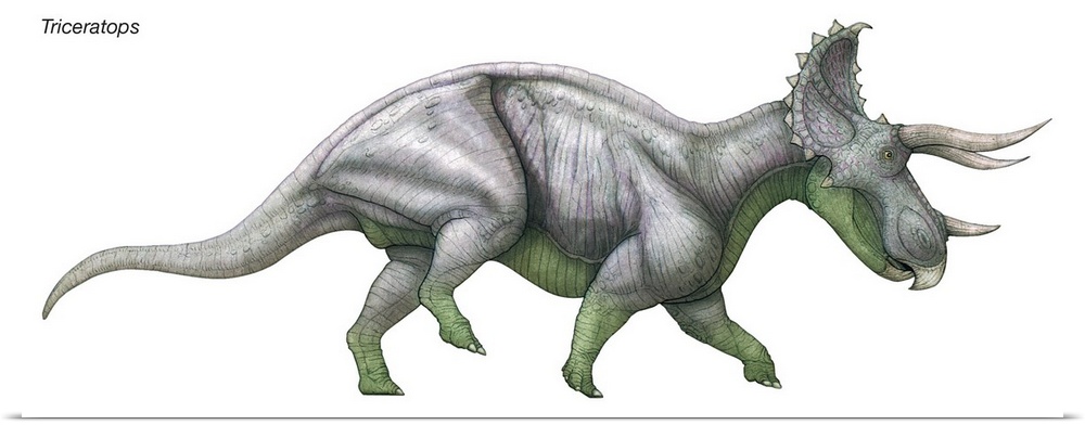An illustration from Encyclopaedia Britannica of the dinosaur Triceratops.