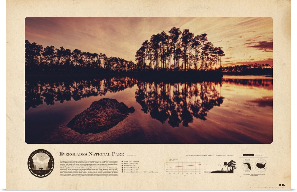 An informational graphic poster featuring an image of the Everglades with several facts and figures.
