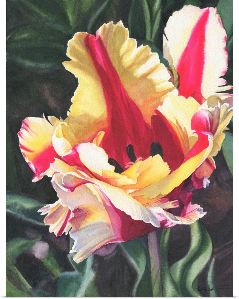 Vertical painting of a Blooming parrot Tulip in yellow and red.