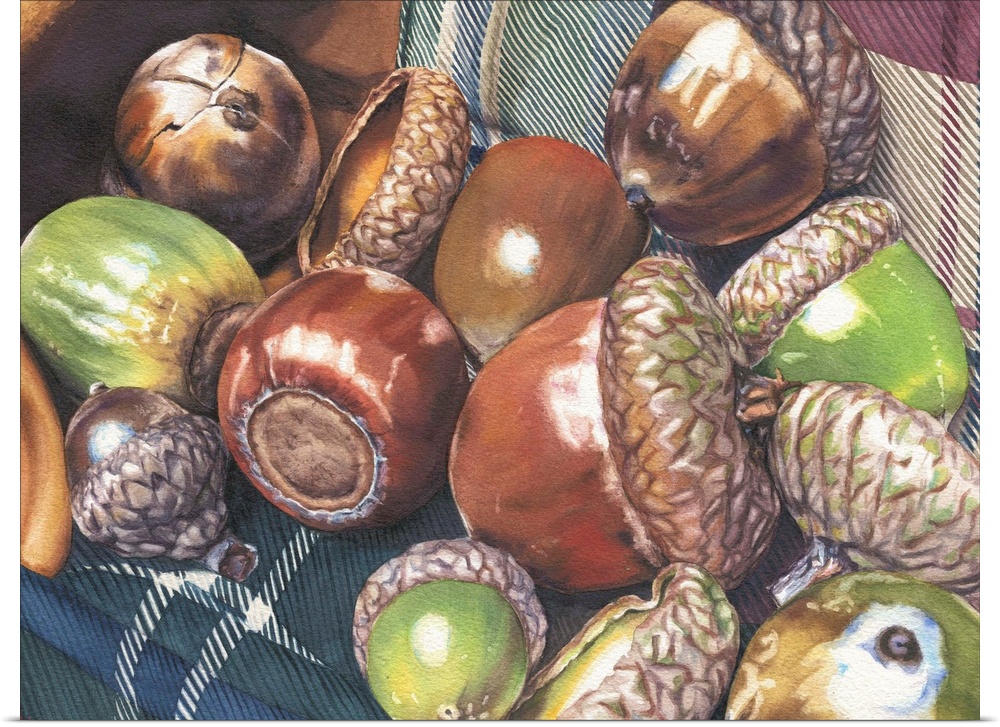 A watercolor painting of a pocketful of acorns found in the yard.