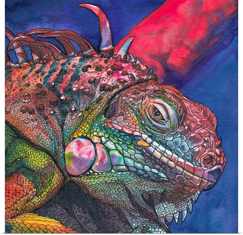 A watercolor and ink painting of a multi-colored iguana.