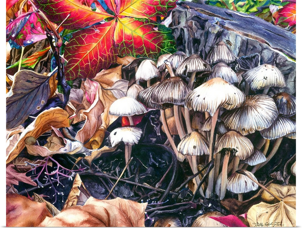 A contemporary watercolor painting of a group of mushrooms that were recently covered from beneath a pike of leaves.