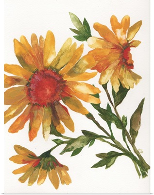 Provence Sunflowers