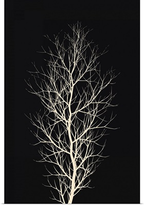 The Tree - White