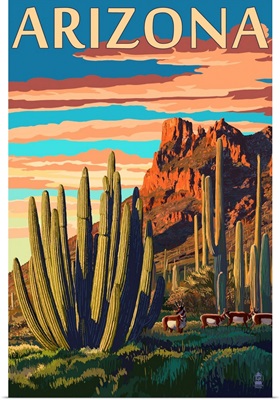 Arizona, Organ Pipe Cactus