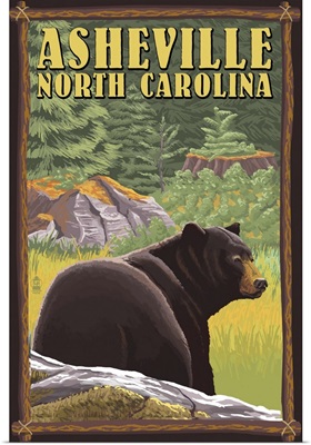 Asheville, North Carolina, Black Bear in Forest