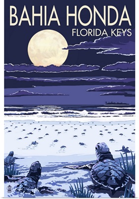 Bahia Honda, Florida Keys - Sea Turtles Hatching: Retro Travel Poster