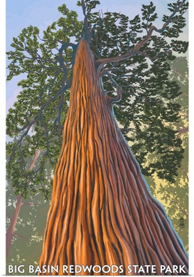 Big Basin Redwoods State Park - Looking up Tree: Retro Travel Poster