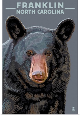 Black Bear Up Close - Franklin, North Carolina: Retro Travel Poster