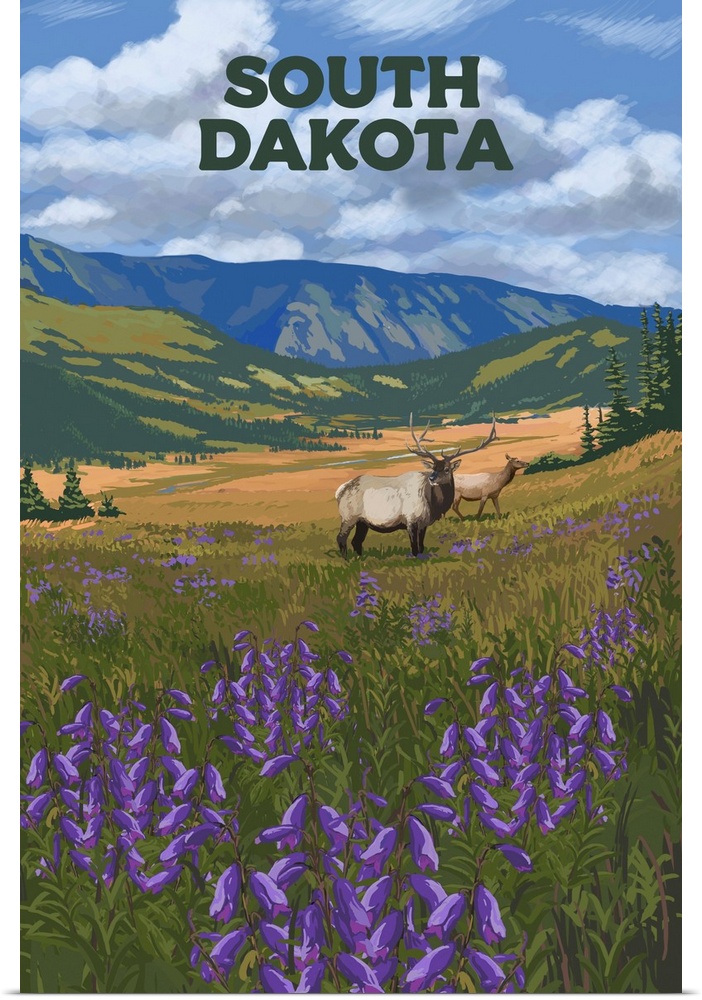 Black Hills, South Dakota - Elk & Flowers