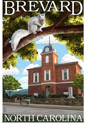 Brevard, North Carolina - Courthouse and White Squirrel: Retro Travel Poster