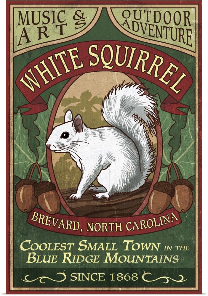 Brevard, North Carolina - White Squirrel Vintage Sign: Retro Travel Poster