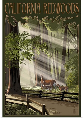 California, Deer and Fawns in Redwoods