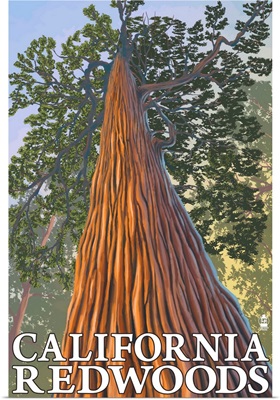 California Redwoods - Looking Up Tree: Retro Travel Poster
