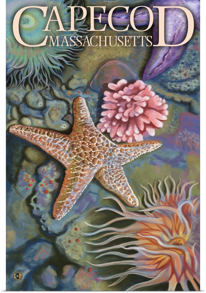 Retro stylized art poster of a starfish and other sea life.