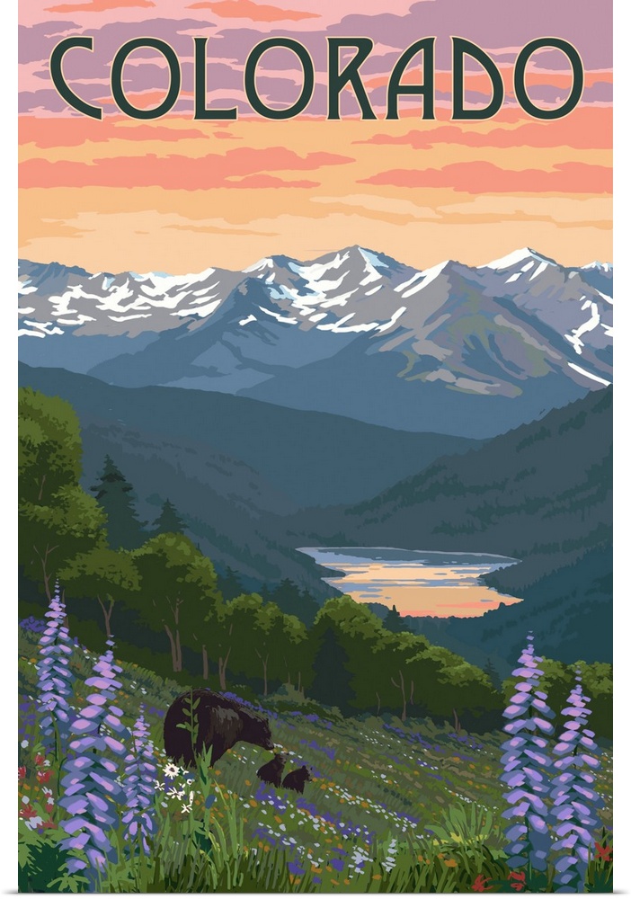 Colorado - Bear and Spring Flowers