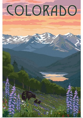 Colorado - Bear and Spring Flowers