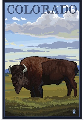 Colorado Buffalo Solo: Retro Travel Poster