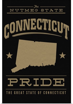 Connecticut State Pride