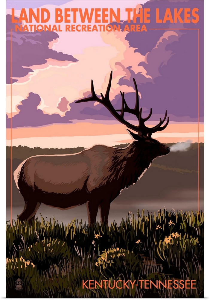 Elk, Land Between The Lakes, Kentucky-Tennessee