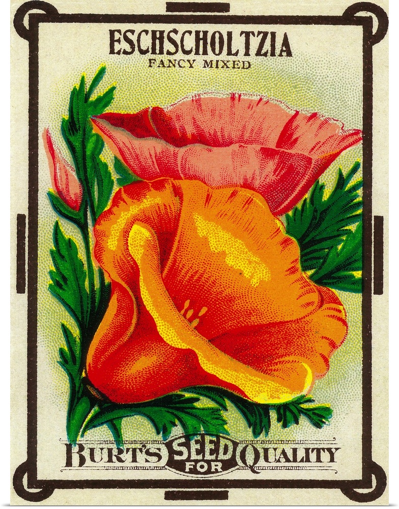 A vintage label from a seed packet for California Poppies.