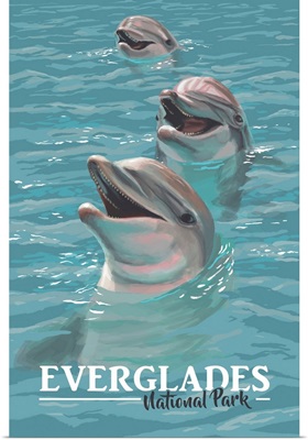 Everglades National Park, Dolphins: Retro Travel Poster