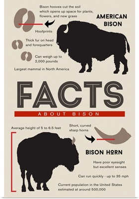 Facts About Bison