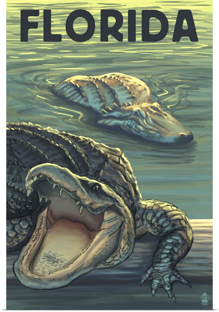Florida, Alligators