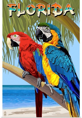 Florida - Parrots: Retro Travel Poster