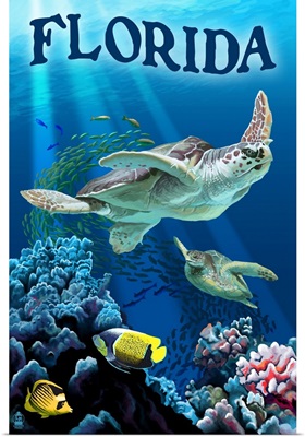 Florida, Sea Turtles