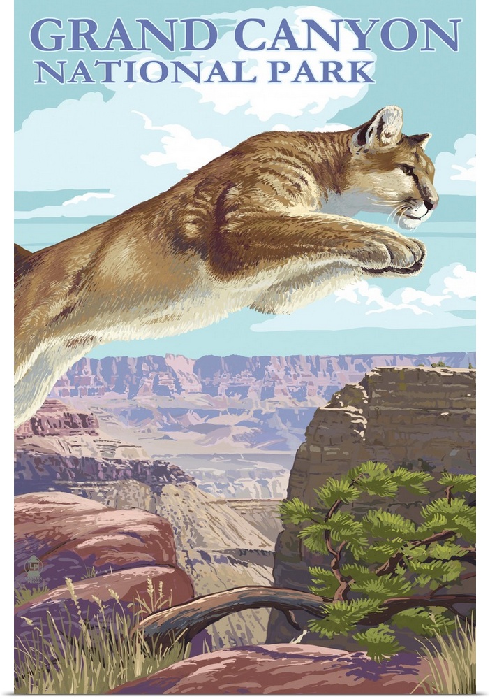 Grand Canyon National Park, Cougar Jumping