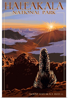 Haleakala National Park, Sunrise On Mount Haleakala: Retro Travel Poster