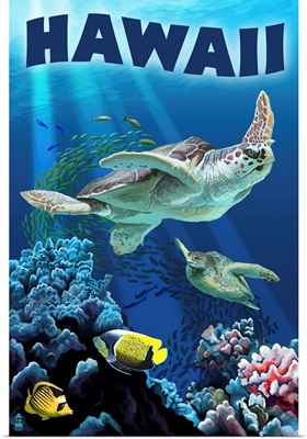 Hawaii - Sea Turtles Swimming