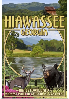 Hiawassee, Georgia, Montage Scenes