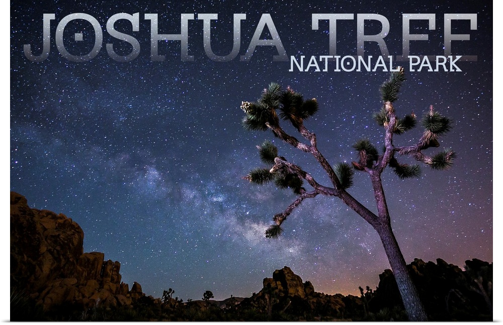 Joshua Tree National Park, Milky Way: Travel Poster