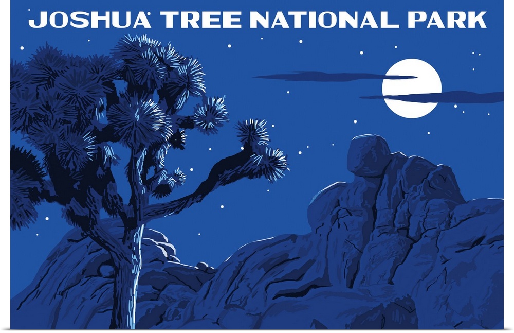 Joshua Tree National Park, Night Sky: Graphic Travel Poster