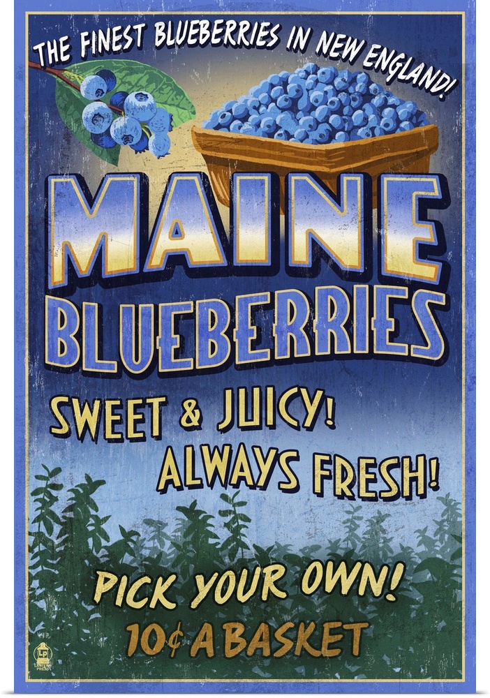 Retro stylized art poster of a vintage sign advertising blueberries.