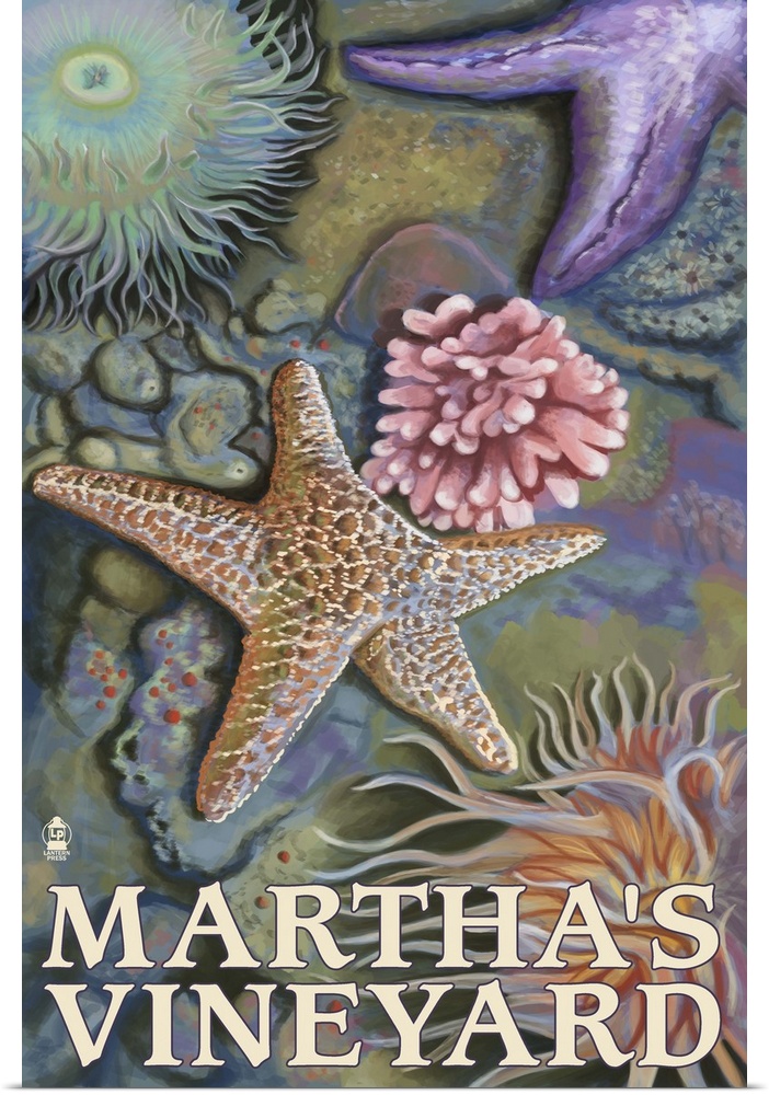 Martha's Vineyard - Tidepools: Retro Travel Poster