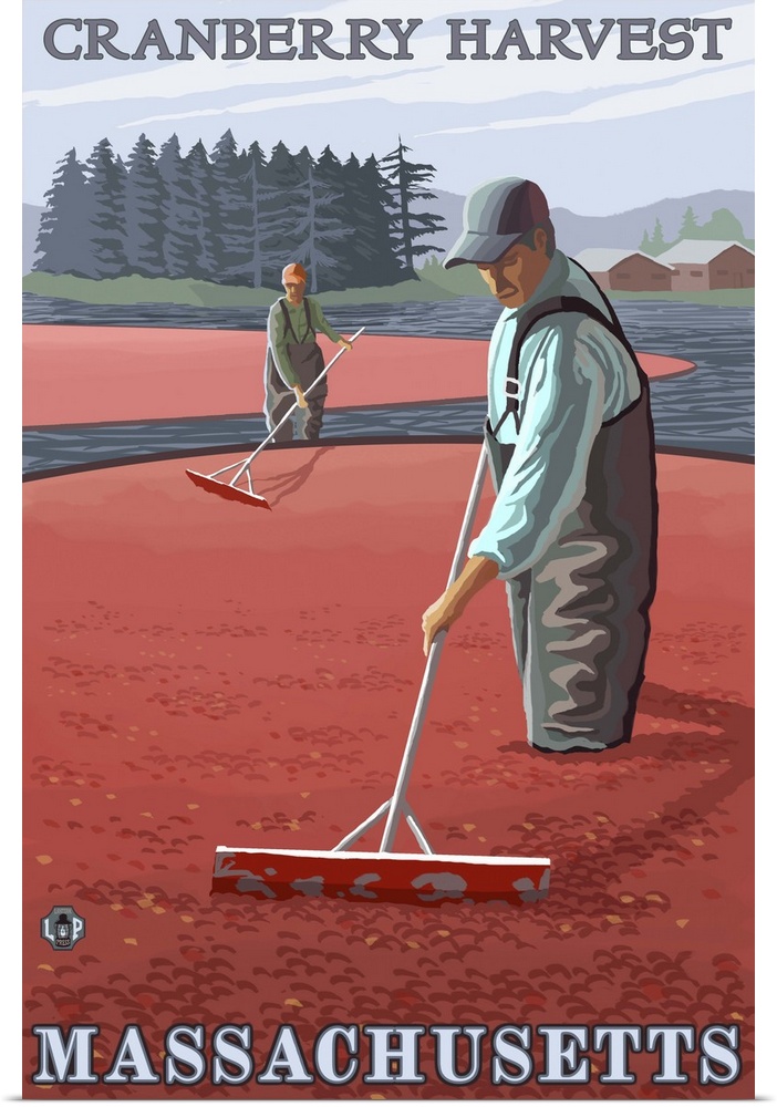 Massachusetts - Cranberry Bog Harvest: Retro Travel Poster