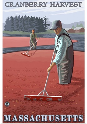 Massachusetts - Cranberry Bog Harvest: Retro Travel Poster